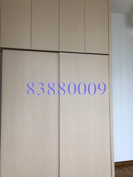 Hillion Residences (D23), Apartment #156151232